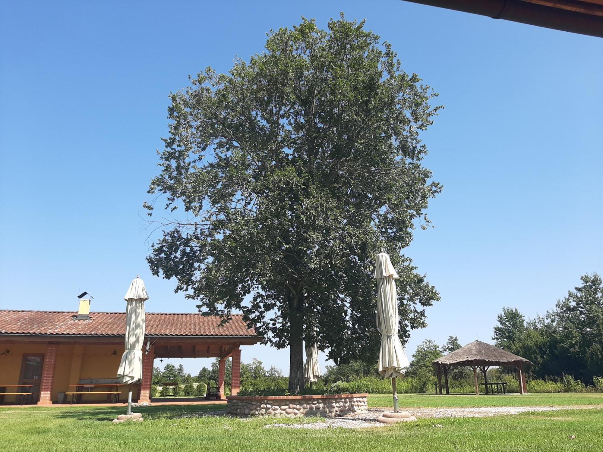 Corte All'Olmo Verona Exterior foto